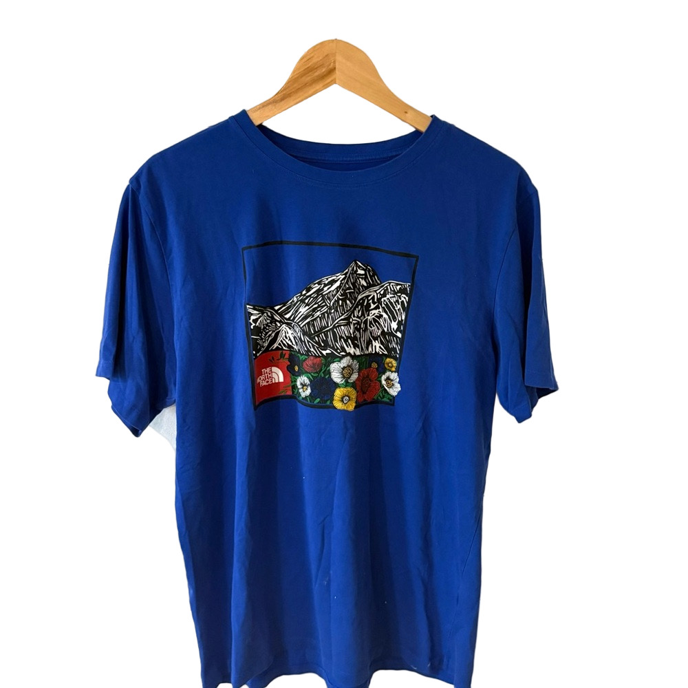 The North Face Blue Mountain Graphic Tee
